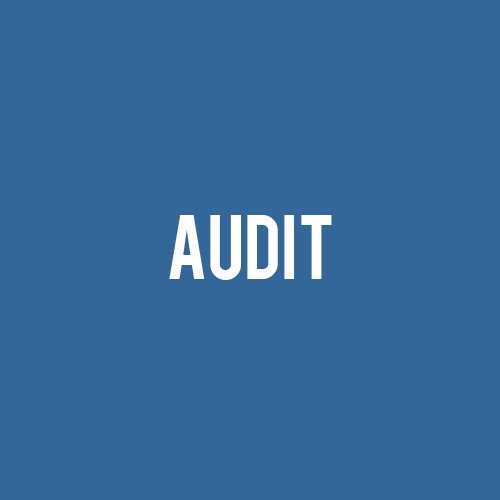 audit Audit nach ISO 19011